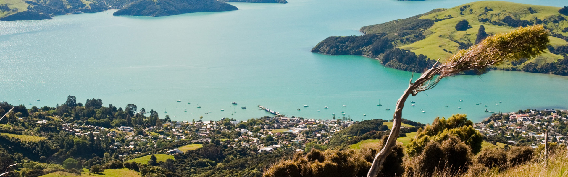 Những lý do chọn học tại New Zealand