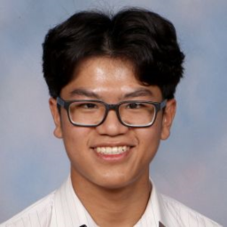 Le Phuc Thinh BUI (Lewis)